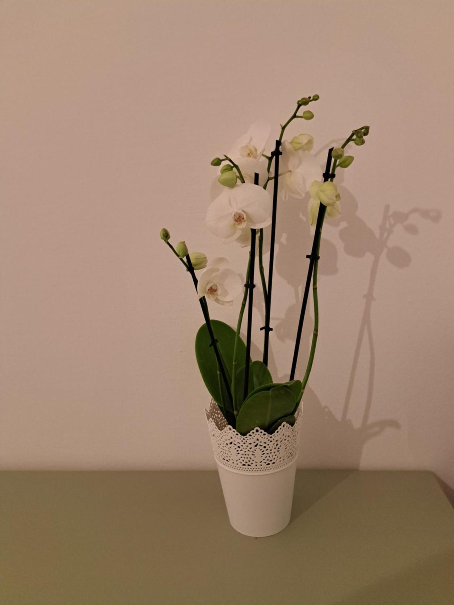 Apartmán Casa Di Tre Soluň Exteriér fotografie